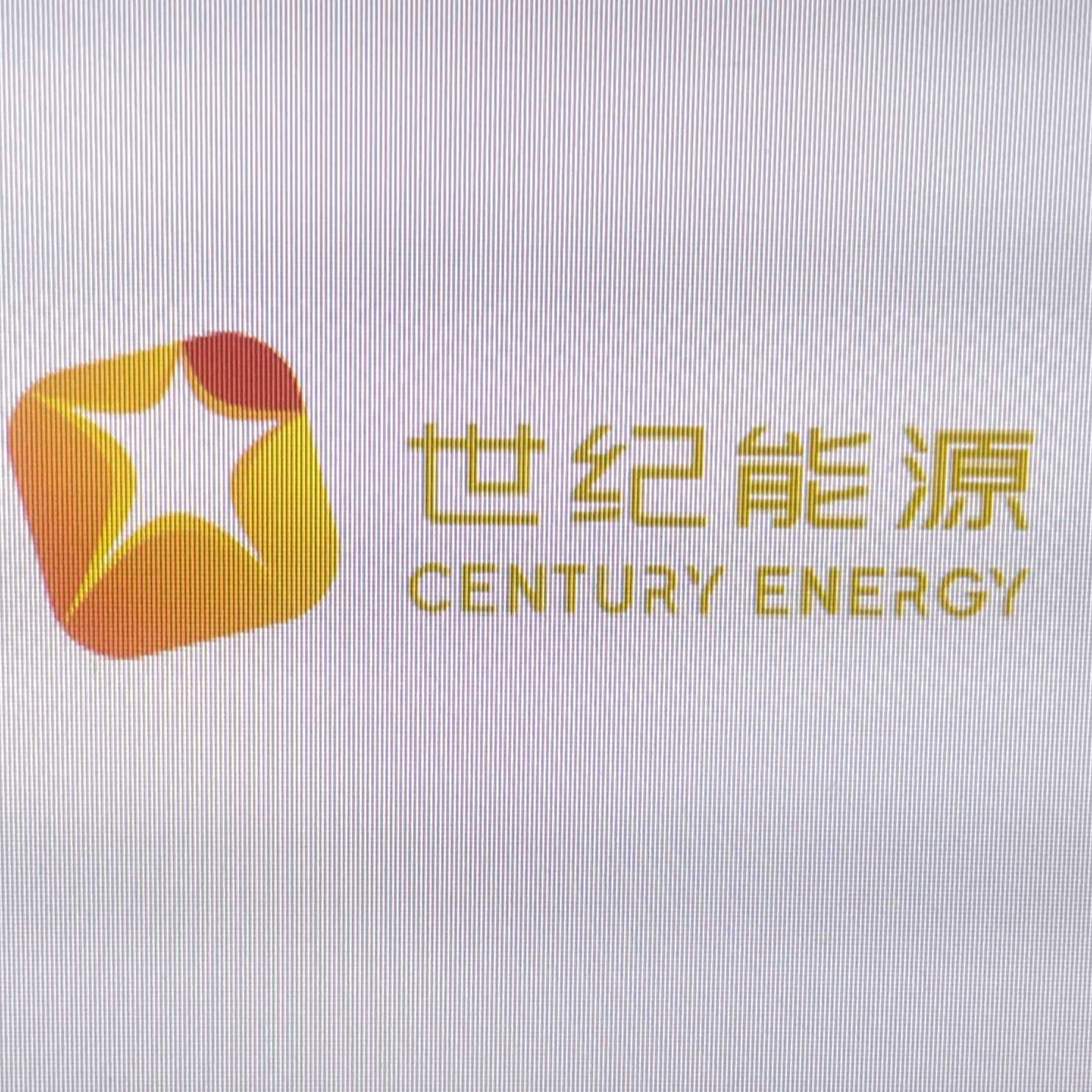 新疆世紀能源集團有限公司